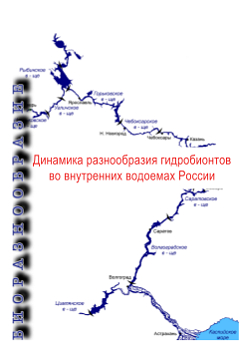 Динамика разнообразия гидробионтов во внутренних водоемах России.